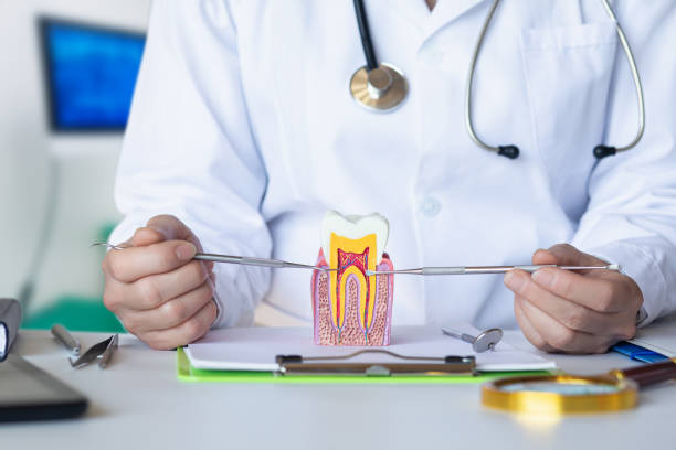 Best Emergency Root Canal Treatment in Ripley, MS